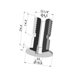 Tornillo G1/4" - ØCabeza 19MM - L 24.5MM